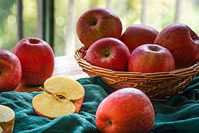 电子斗蛐蛐？《沉默的蟋蟀》游戏公开，玩家测试招募中